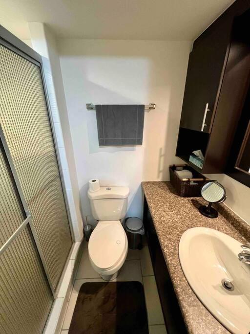 Modern Condo In Ecovivienda 特古西加尔巴 外观 照片